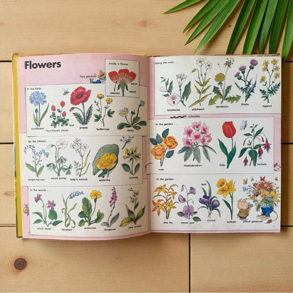 Rand McNally’s “Wonderful World Word Book” – 1978 Vintage Hardcover